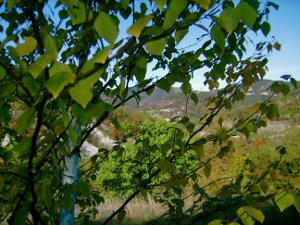 La chiave per la natura, oleoliti alchemici di Alchemica Valgelata